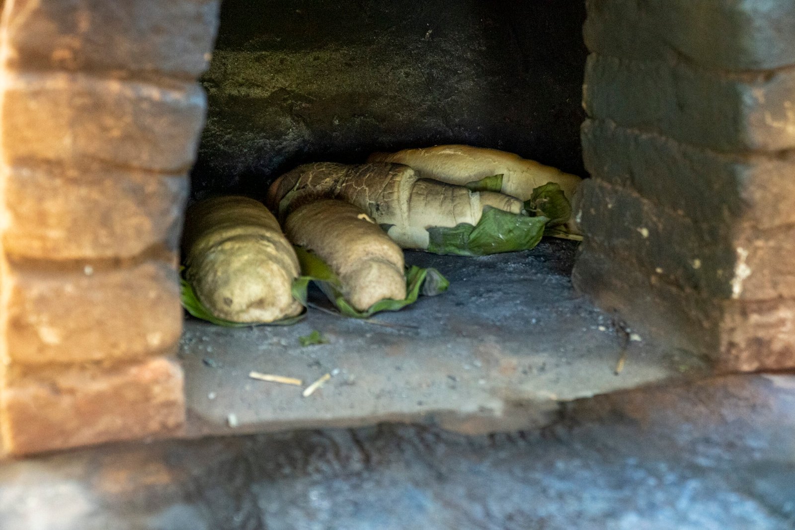 Ingresso Café da Mãeã (Adulto) - Imagem 6