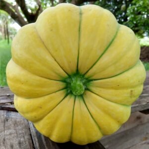 Legumes e Tubérculos