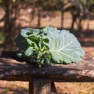 Verduras e Folhagens